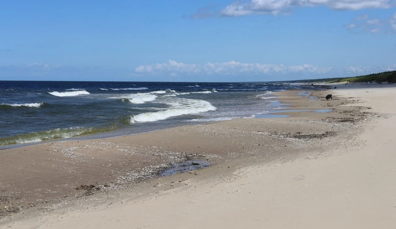 Plaża w Mikoszewie nawet w szczycie sezonu świeci pustkami Pusta plaża w Mikoszewie nad morzem z jasnym niebem i kilkoma chmurami na horyzoncie.