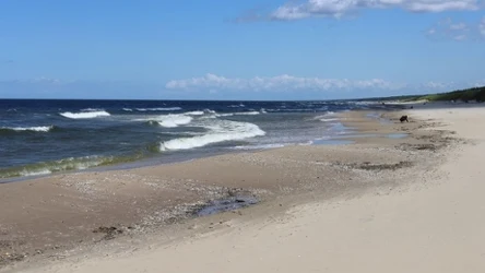 Plaża w Mikoszewie nawet w szczycie sezonu świeci pustkami