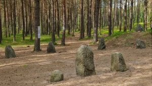 Tereny dzisiejszych Węsiorów zamieszkiwali Goci