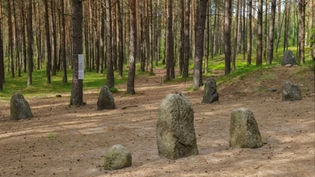 Tereny dzisiejszych Węsiorów zamieszkiwali Goci