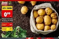 Картопля Polski