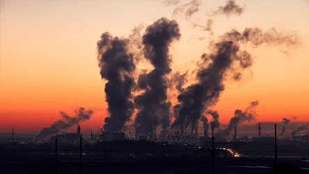 Związek między zanieczyszczeniem środowiska a nowotworami dostrzegano już w XVIII i XIX wieku, ale dopiero wydarzenia XX wieku, takie jak wielki smog londyński z 1952 roku, zmusiły świat do poważnego potraktowania problemu.