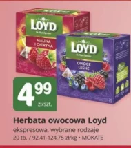 Herbata owocowa Loyd
