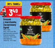 Groszek Zaczarowany Ogród
