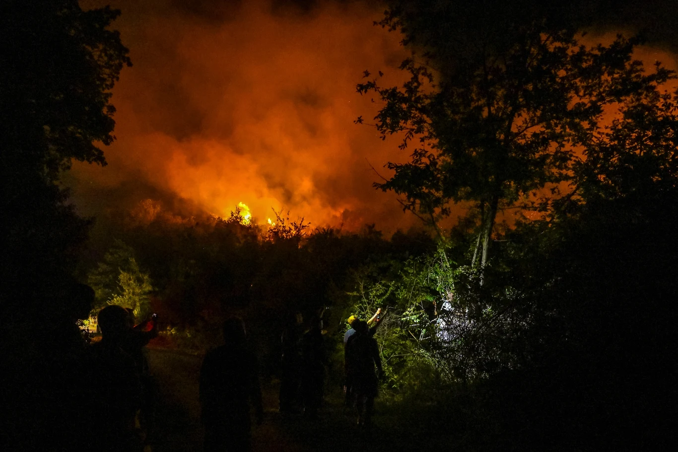 Służby walczą z pożarem na terenie Czarnogóry Pożar lasu w Czarnogórze, płomienie i dym nad drzewami, widoczne sylwetki osób obserwujących żywioł.