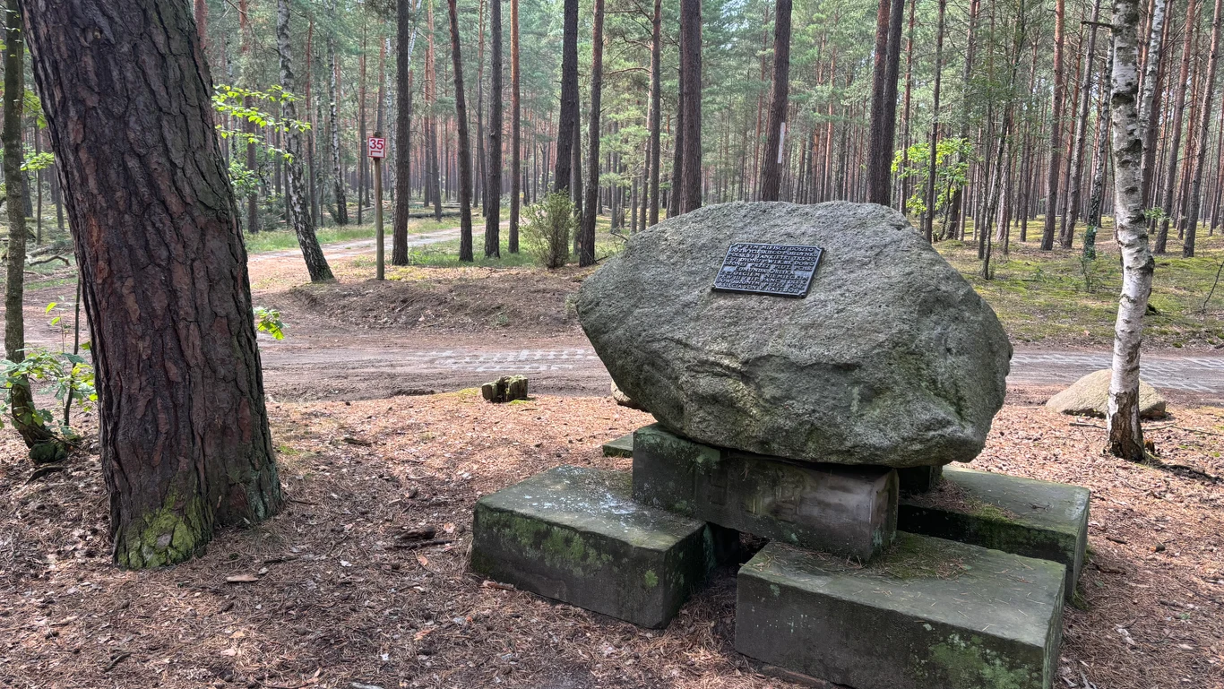 Pamiątkowy kamień i miejsce bitwy w Kampinoskim Parku Narodowym Duży głaz z tablicą pamiątkową, ustawiony na betonowych blokach pośród sosnowego lasu, na tle piaszczystej leśnej drogi.