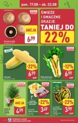 Żniżki aż do 80%! - Aldi