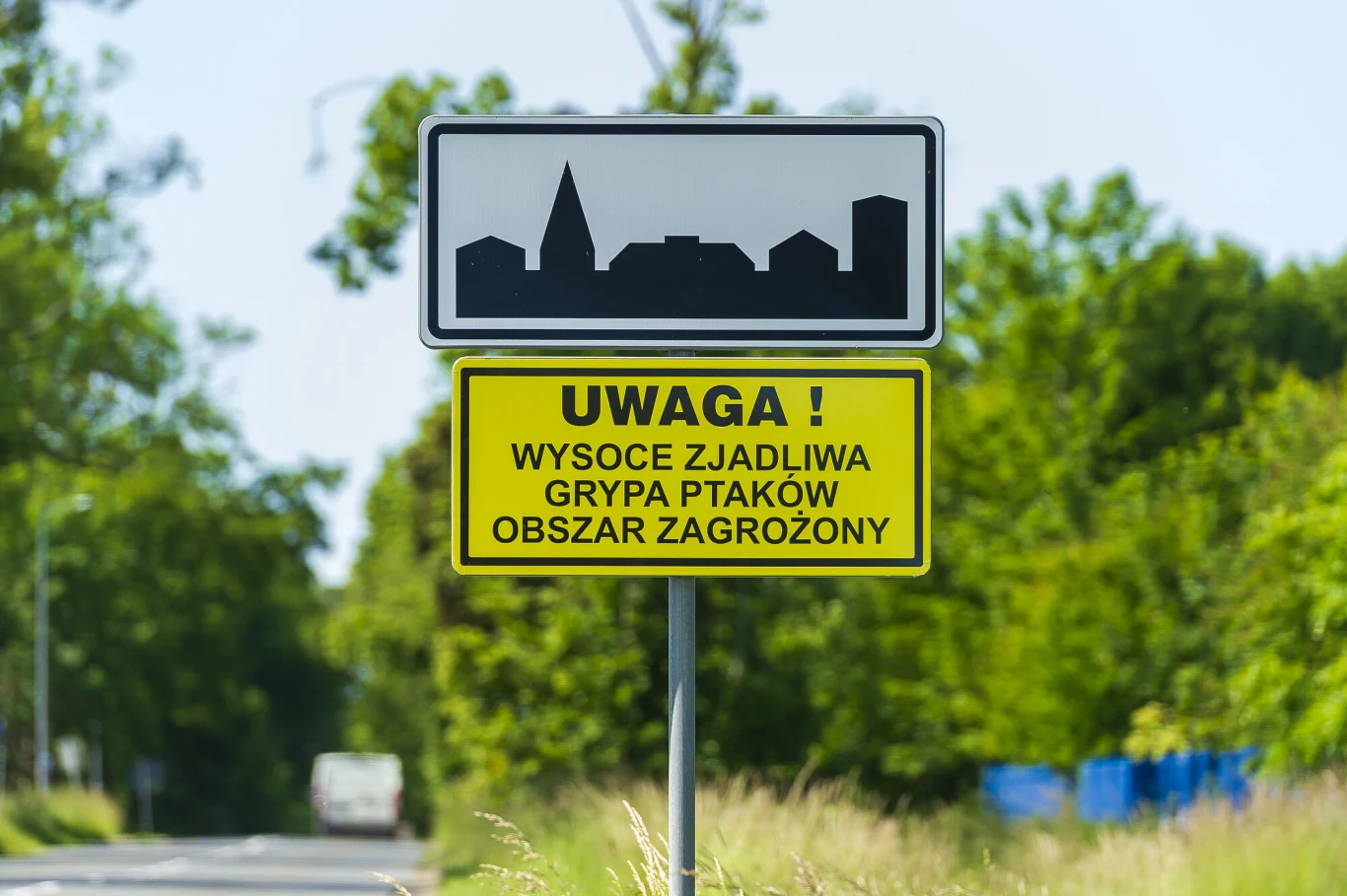 Znak drogowy z nazwą miejscowości oraz żółta tablica ostrzegawcza informująca o zagrożeniu wysoce zjadliwą grypą ptaków, ustawione przy asfaltowej drodze otoczonej zielenią.