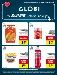 W sumie udane zakupy - Globi