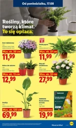 Wybierz jakość i oszczędzaj - Lidl