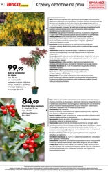Czas na domowe zmiany - Bricomarché
