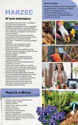 Czas na domowe zmiany - Bricomarché