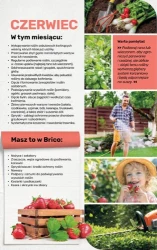 Czas na domowe zmiany - Bricomarché