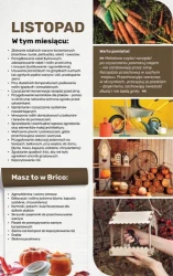 Czas na domowe zmiany - Bricomarché