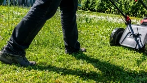 Koszenie trawy na krótko nie zawsze jest dobrym pomysłem. Tego lepiej unikaj.