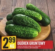 Ogórek