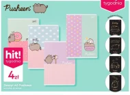 Zeszyt Pusheen