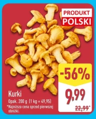 Kurki Polski