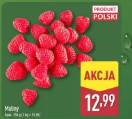 Maliny Polski