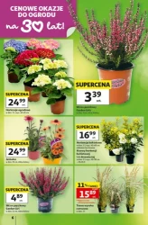 Strefa szkoła. Odkryj okazję - Auchan Hipermarket