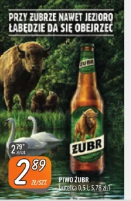 Piwo Żubr