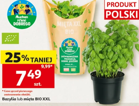 Базилік Auchan
