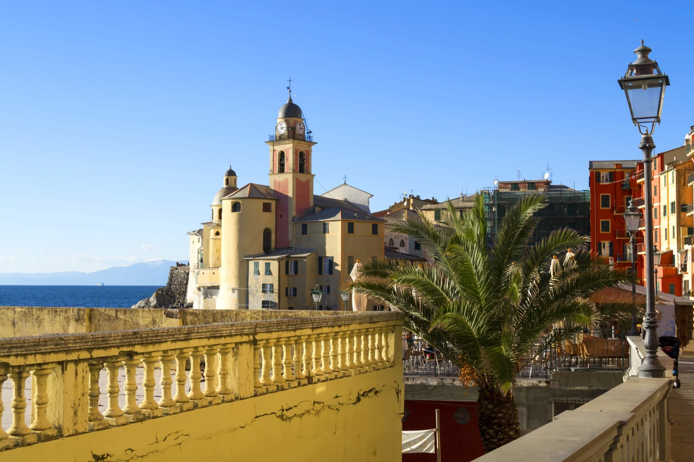Camogli Kolorowy kościół z wieżą zegarową położony nad brzegiem morza, otoczony palmą oraz zabudowaniami w intensywnych barwach, przy słonecznej, bezchmurnej pogodzie.