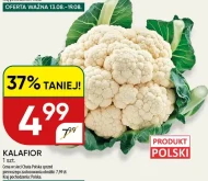 Цвітна капуста Chata polska