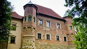 Zamek w Dębnie niedaleko Tarnowa 