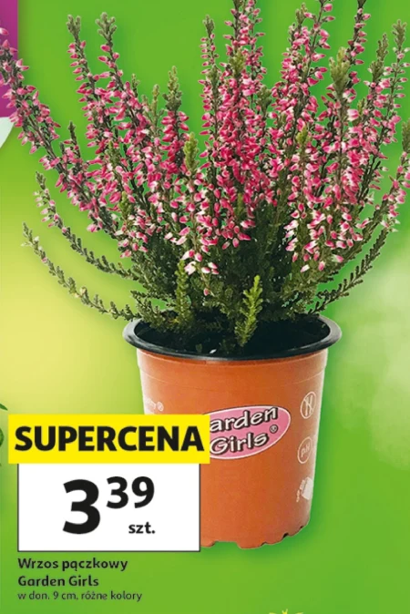 Хізер Gardenic