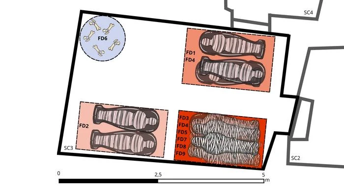 Plan grobowca TT 209 przedstawiający przyblione rozmieszczenie znalezisk grobowych. Plan archeologiczny pomieszczenia z wyraźnie oznaczonymi miejscami pochówków, w tym wydzielonymi strefami dla pojedynczych oraz zbiorowych grobów i szkieletem pojedynczym umieszczonym osobno.
