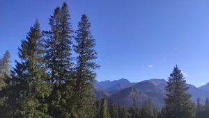 Krótki szlak z widokiem na Tatry. Idealny na jednodniowy wypad 