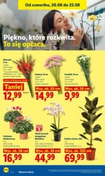 Weekend pełen okazji - Lidl