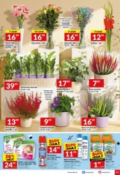 Pełny koszyk za mniej - Twój Market