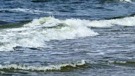 Gdzie jest najzimniejsza woda w Bałtyku? Jeśli nie lubisz chłodnych kąpieli, na wakacje wybierz inne miejsce