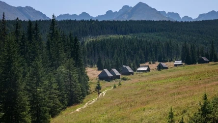 Wielki Kopieniec to krótki i prosty szlak z pięknymi widokami