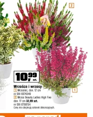 Wrzosiec