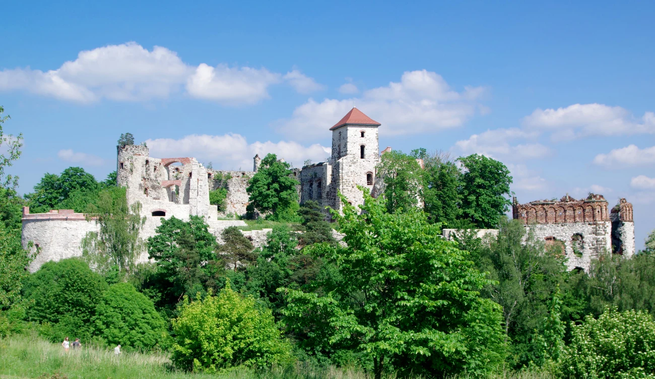 Jak zwiedzać zamek Tenczyn? Ruiny zamku Tenczyn otoczone drzewami i krzewami, widoczne fragmenty murów z kamienia na tle nieba z chmurami.