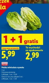 Sałata rzymska Polski