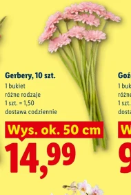 Gerbery Ok.