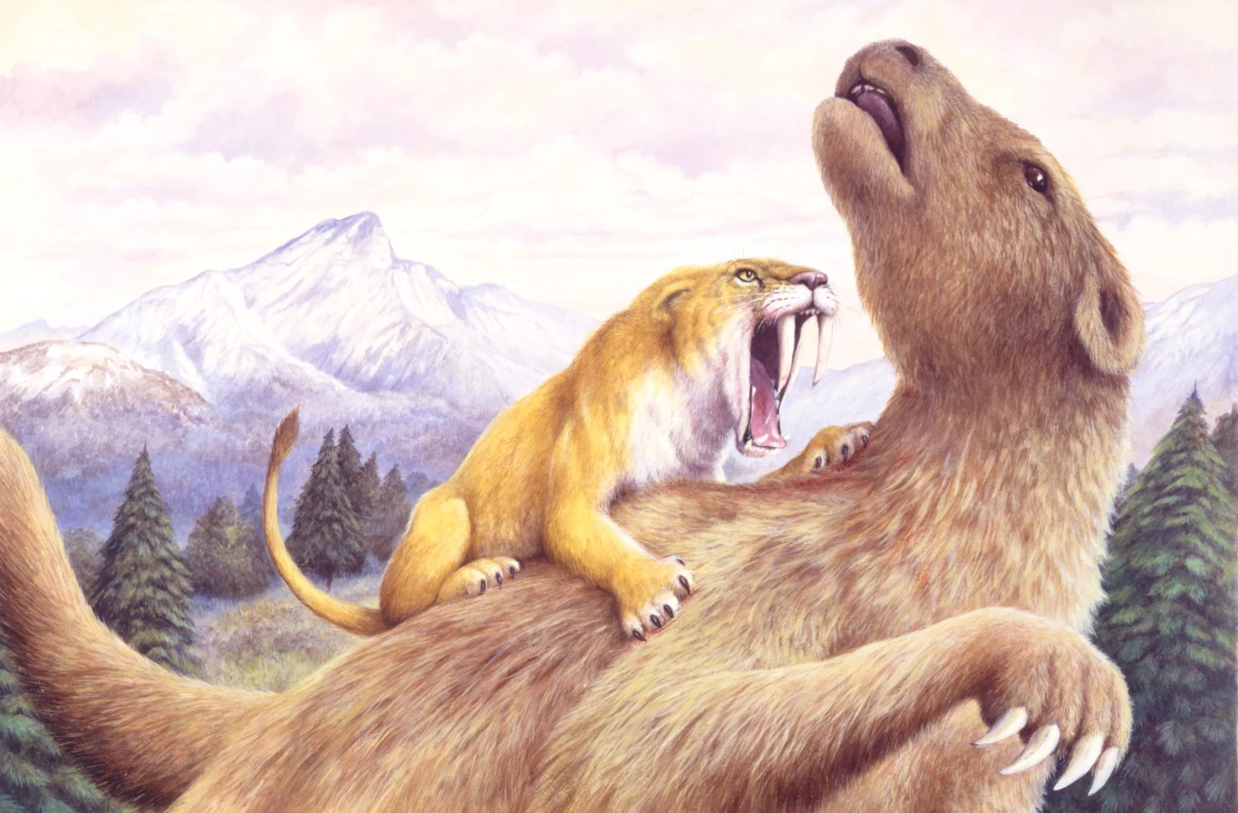 Szarżujący smilodon z szeroko otwartą paszczą i długimi kłami wbija się w grzbiet dużego roślinożernego ssaka, który unosi głowę w geście obrony, a w tle widoczne są górskie szczyty i lasy iglaste.