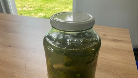 materiał własny/ Co zrobić zamiast tradycyjnych ogórków kiszonych?