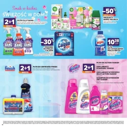 Katalog kulinarny - Stokrotka