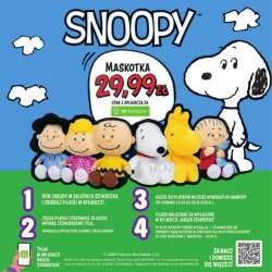 Katalog kulinarny - Stokrotka