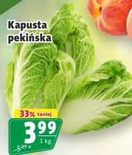 Kapusta pekińska
