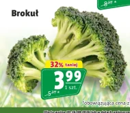 Brokuł