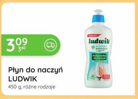 Засіб для миття посуду Ludwik