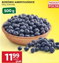 Borówki amerykańskie