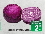 Kapusta młoda