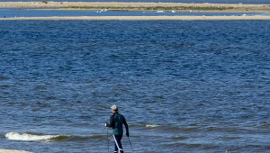 Mikoszewo jest małą miejscowością nad Bałtykiem. To właśnie tutaj Wisła uchodzi do Bałtyku.
